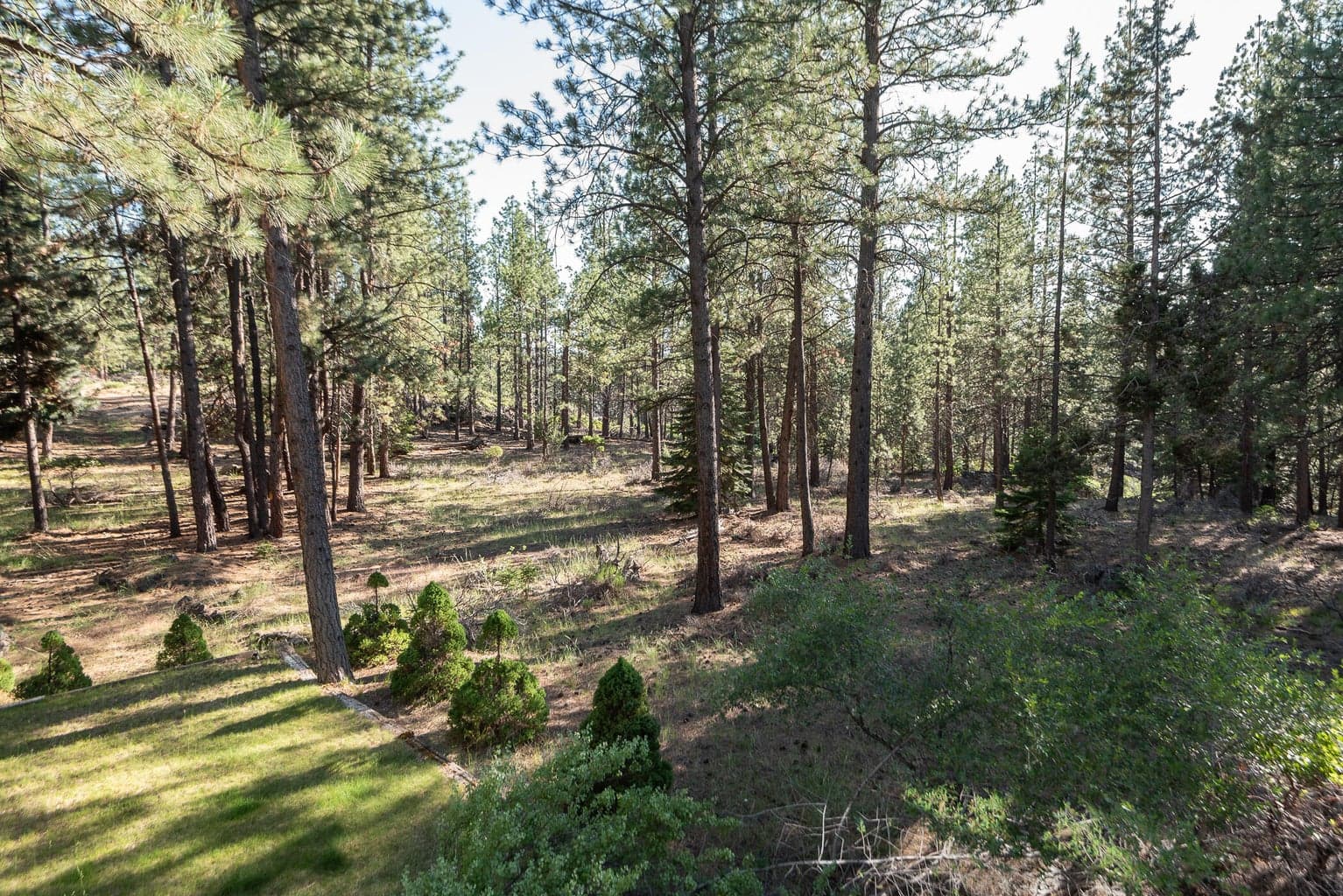 Photo of 18642 River Woods Drive 32 of 34