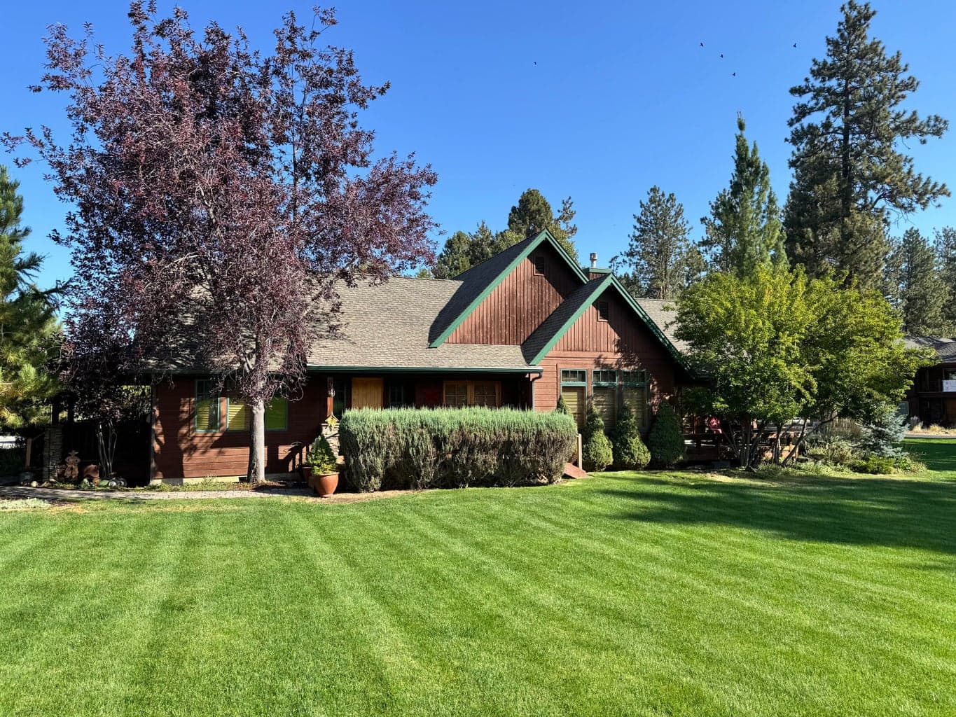 Photo of 546 Cottonwood 1 of 53