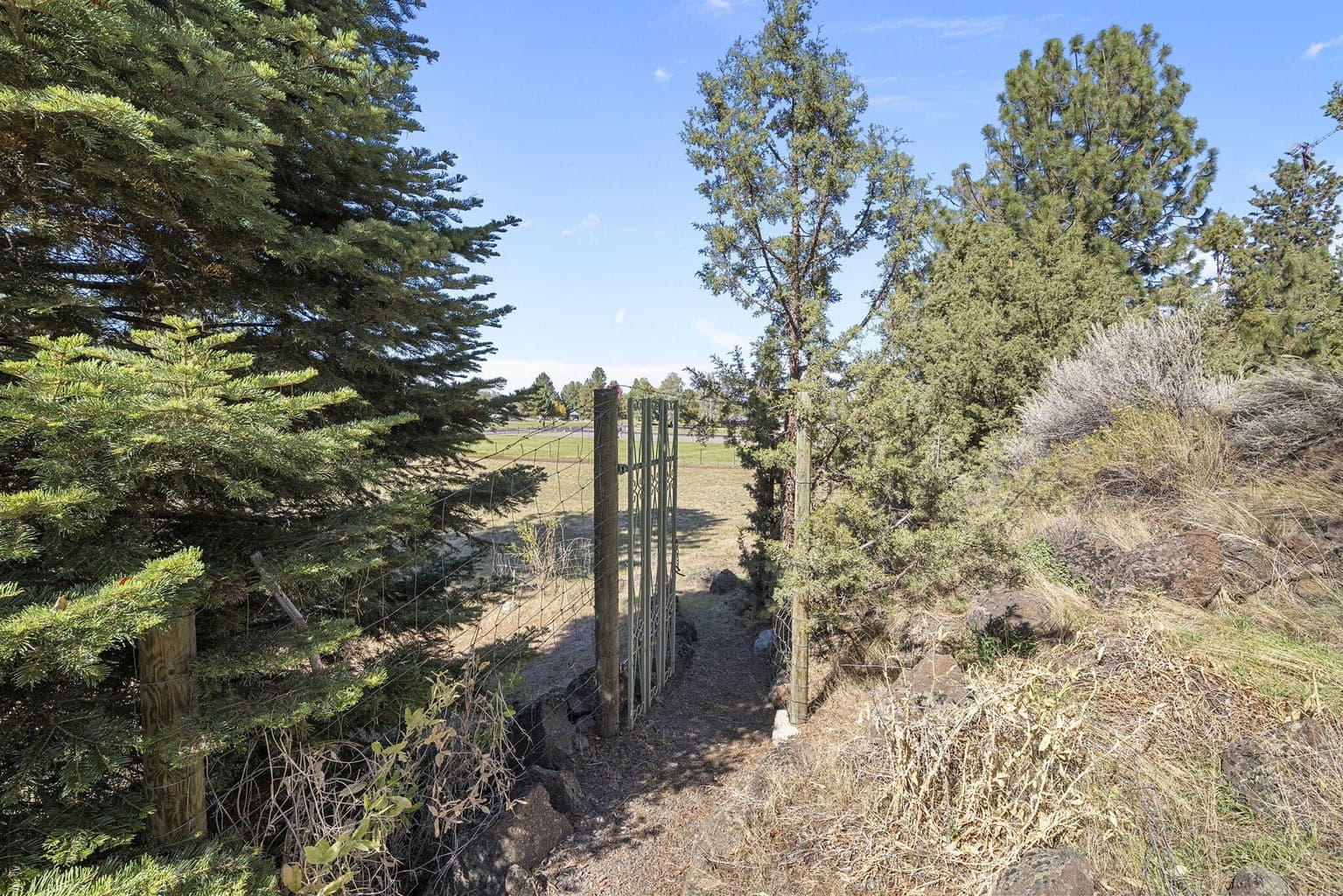 Photo of 21679 Obsidian Avenue 37 of 53