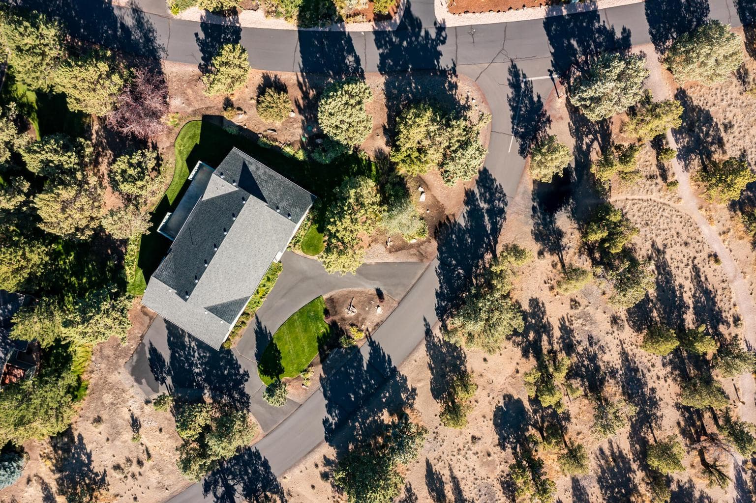Photo of 2525 Cliff Hawk Court 8 of 45