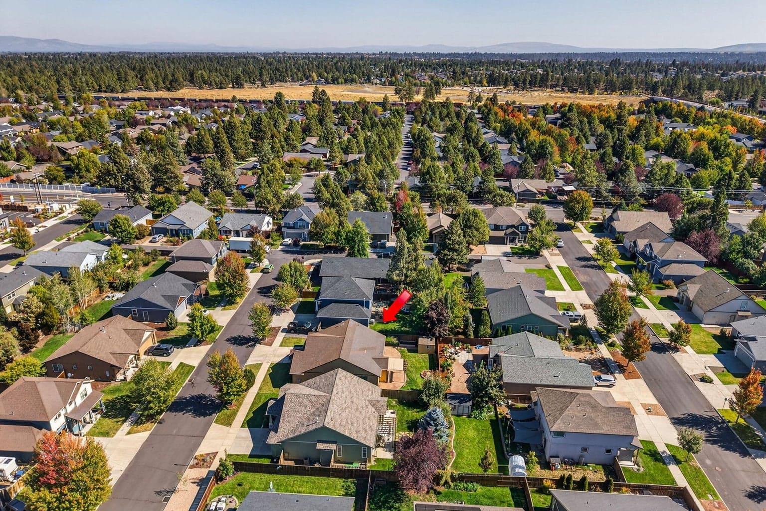 Photo of 20575 Scarlet Sage Way 35 of 37