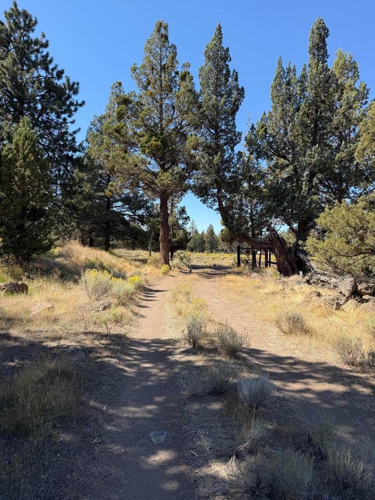 Photo of 65655 Cline Falls 5 of 13