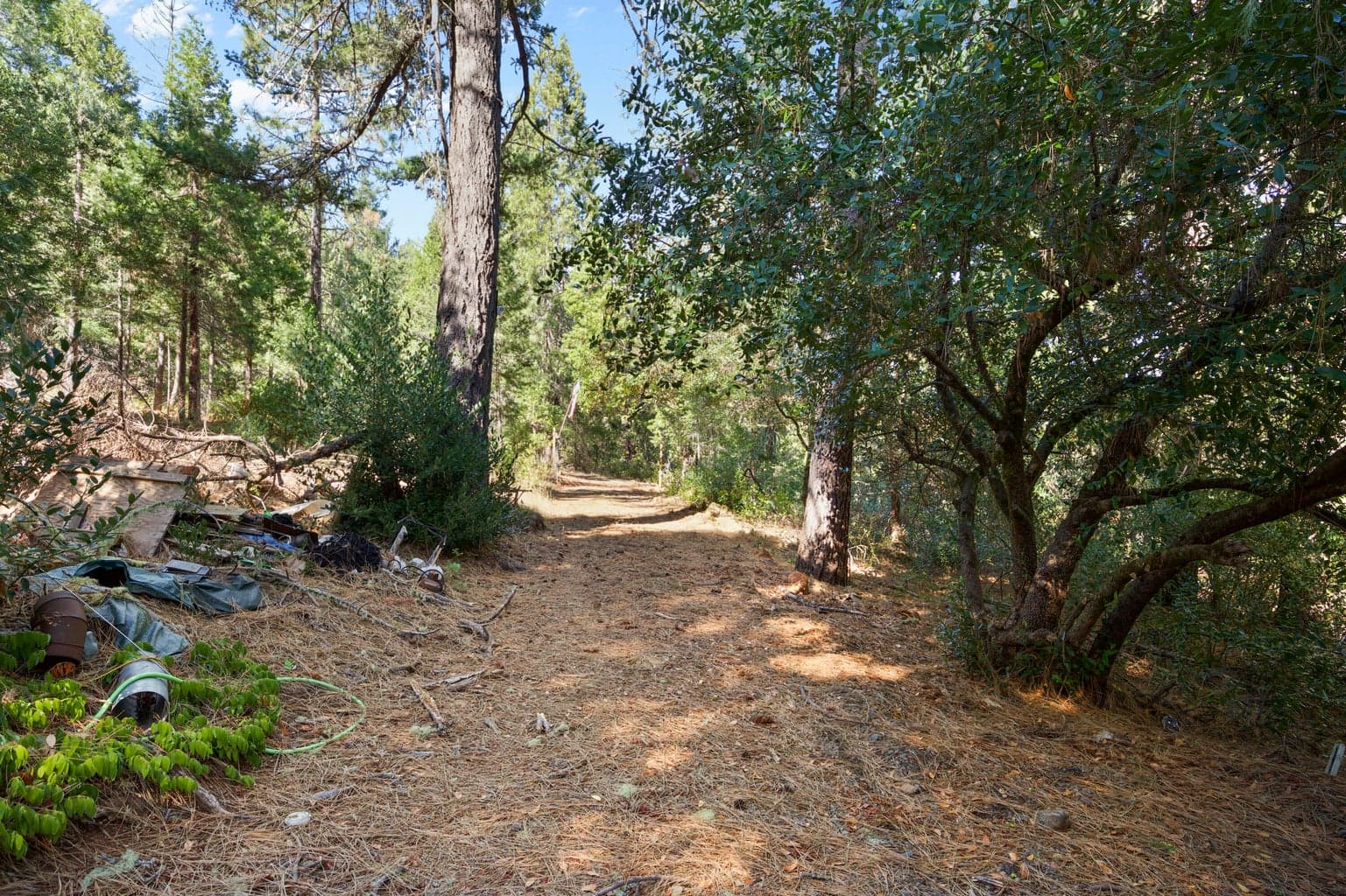 Photo of 260 Warren 4 of 9