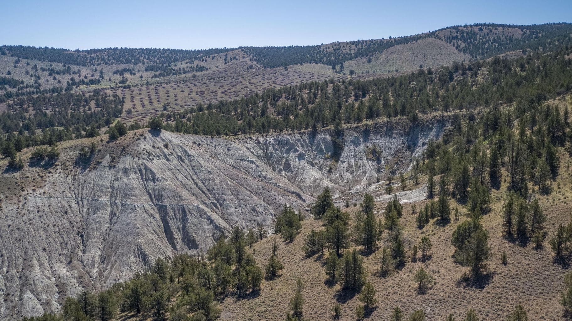 Photo of 32500 SE Tackman Road 45 of 113