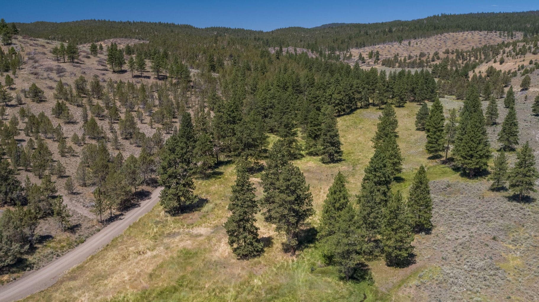 Photo of 32500 SE Tackman Road 74 of 113
