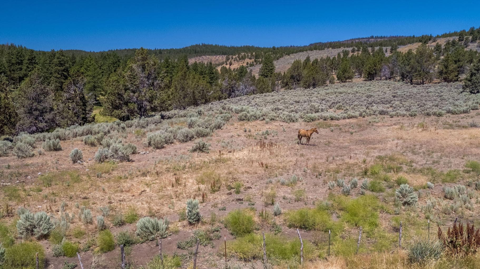 Photo of 32500 SE Tackman Road 32 of 113