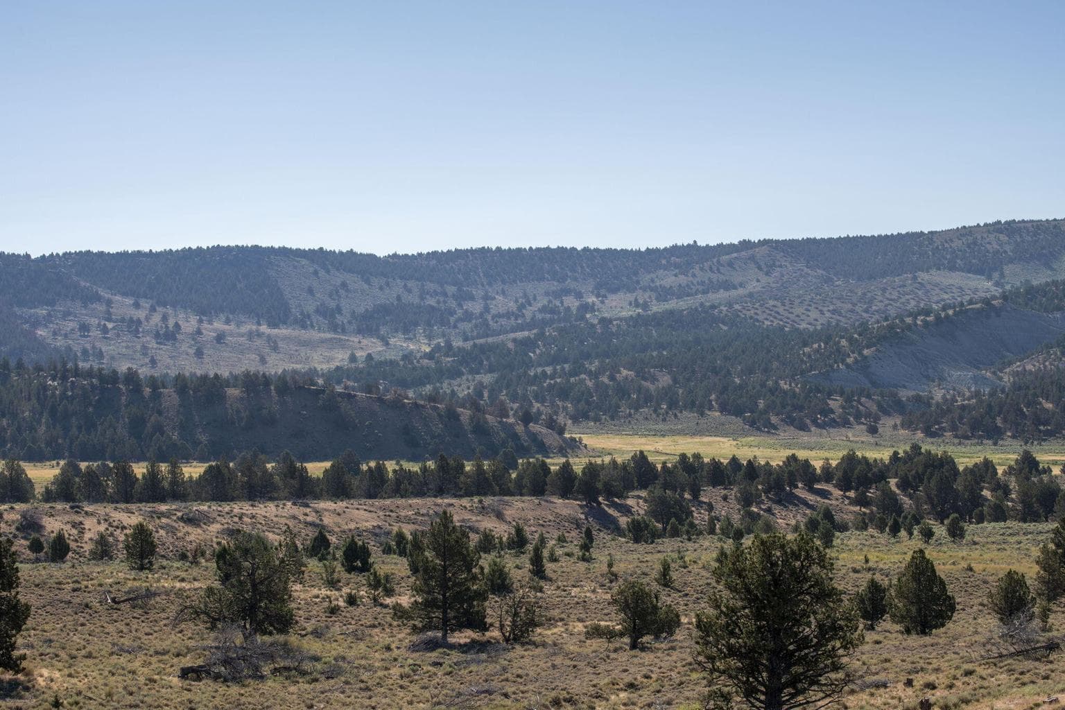Photo of 32500 SE Tackman Road 49 of 113