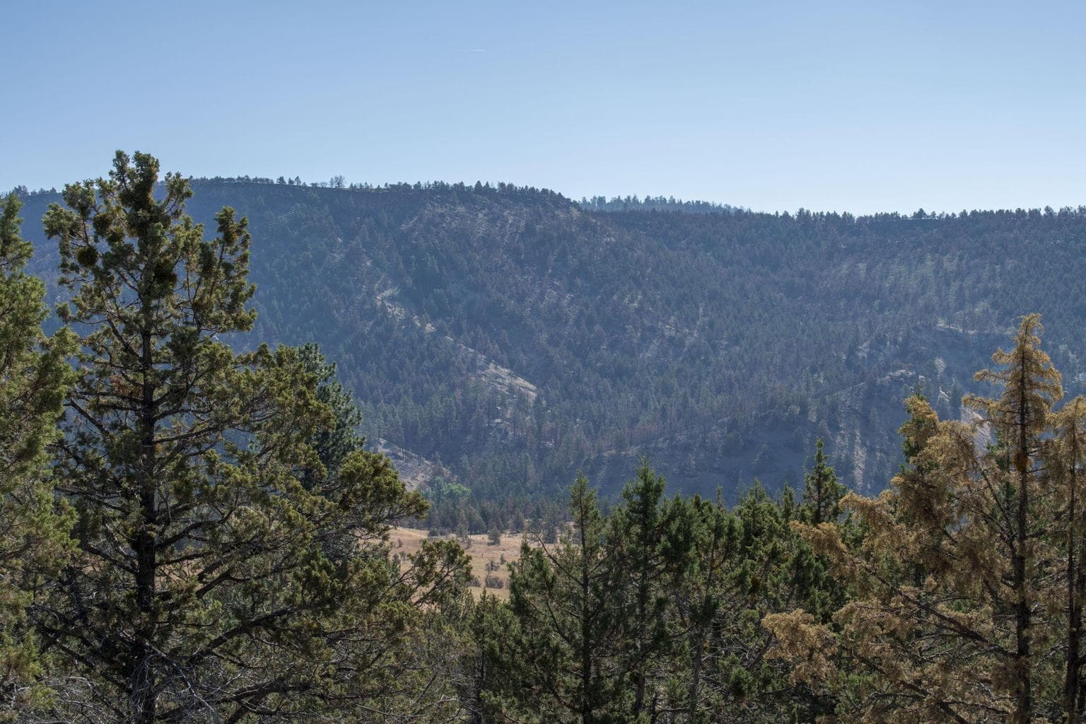 Photo of 32500 SE Tackman Road 88 of 113