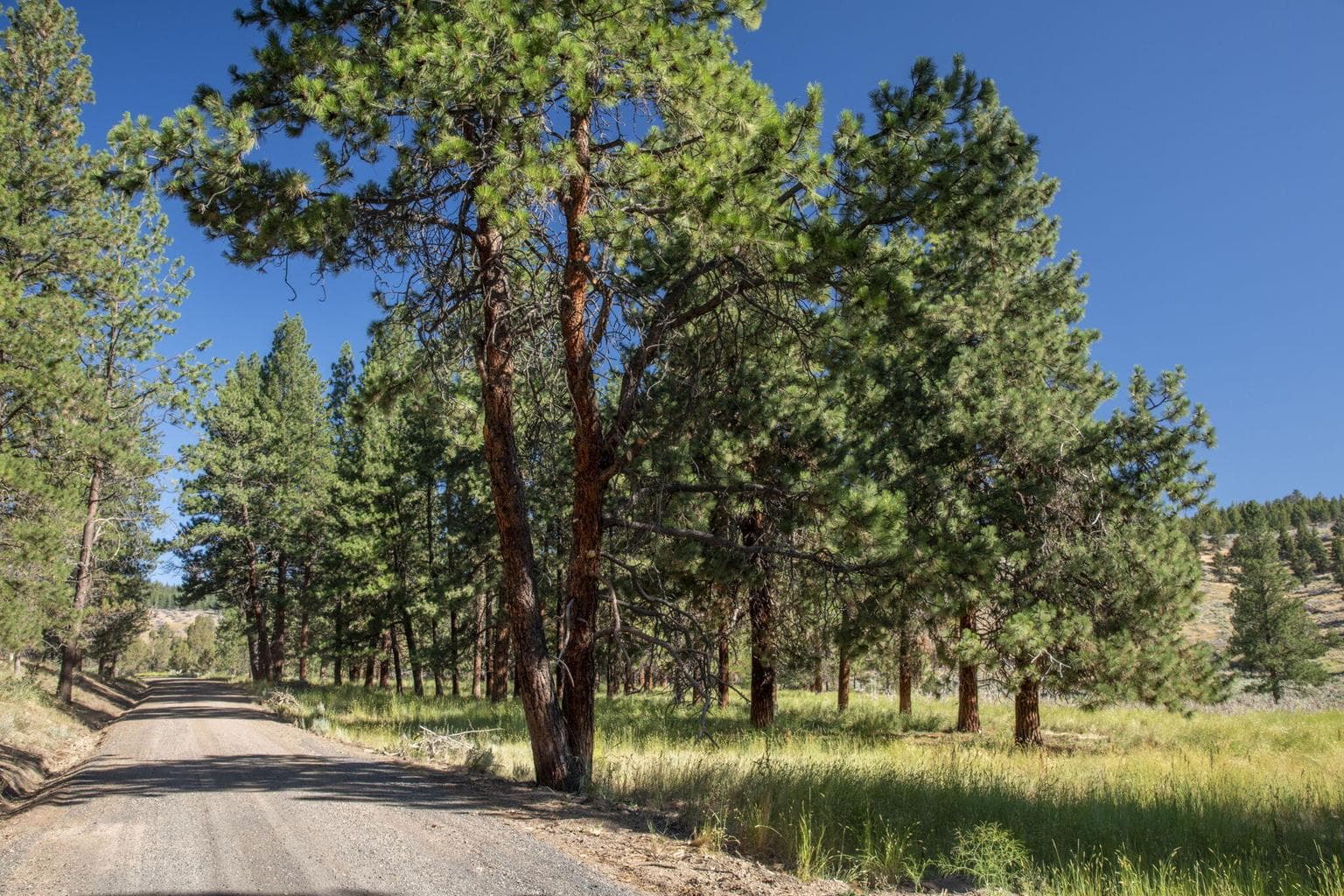 Photo of 32500 SE Tackman Road 75 of 113