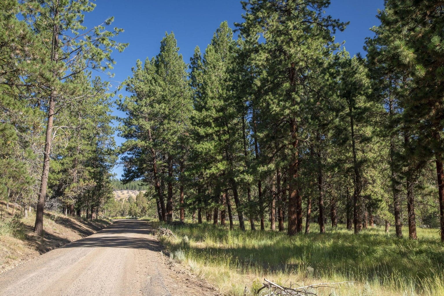 Photo of 32500 SE Tackman Road 76 of 113