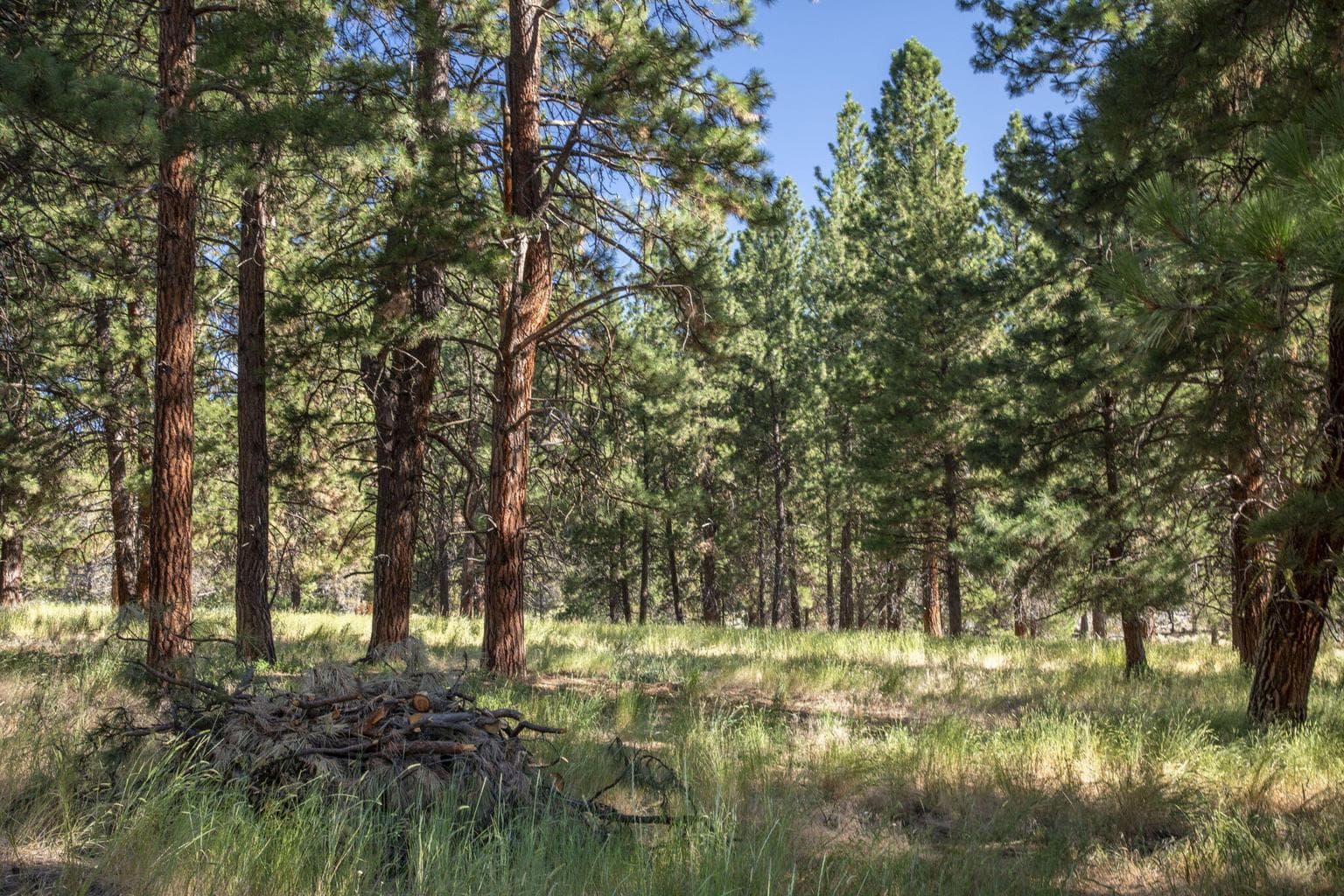 Photo of 32500 SE Tackman Road 73 of 113