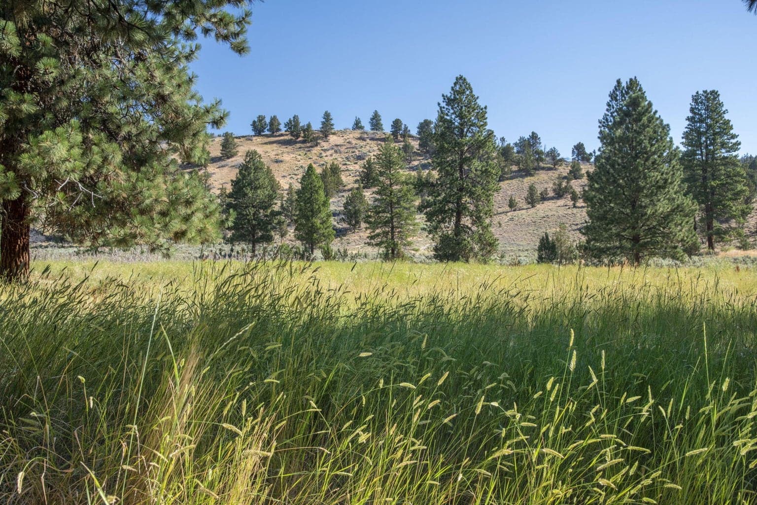 Photo of 32500 SE Tackman Road 72 of 113