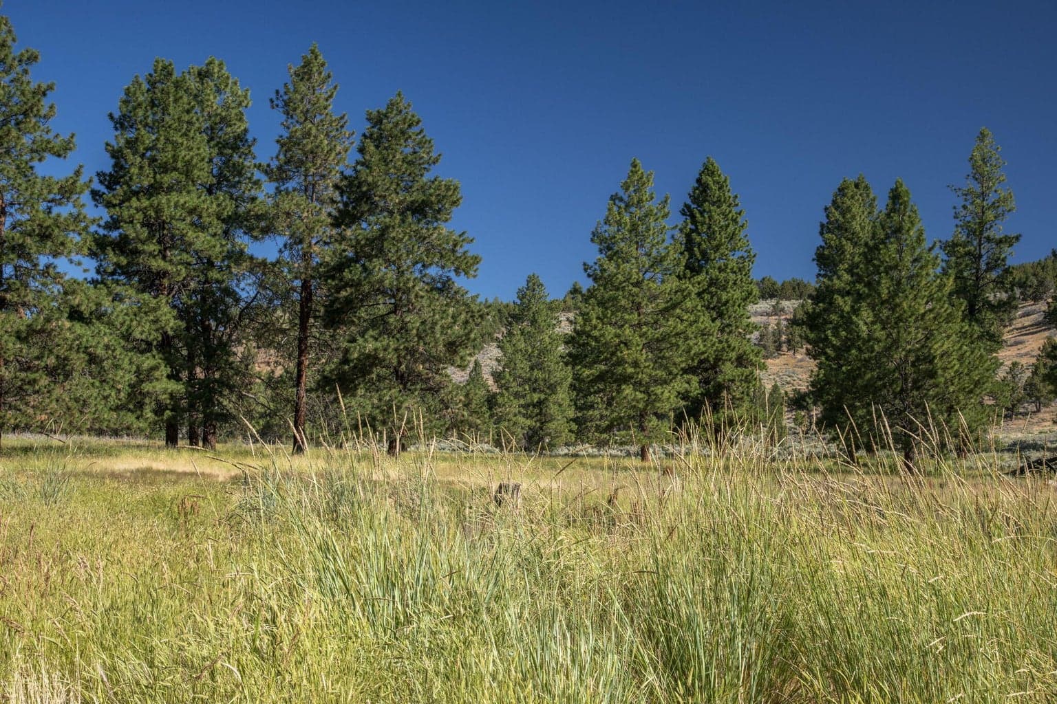 Photo of 32500 SE Tackman Road 77 of 113