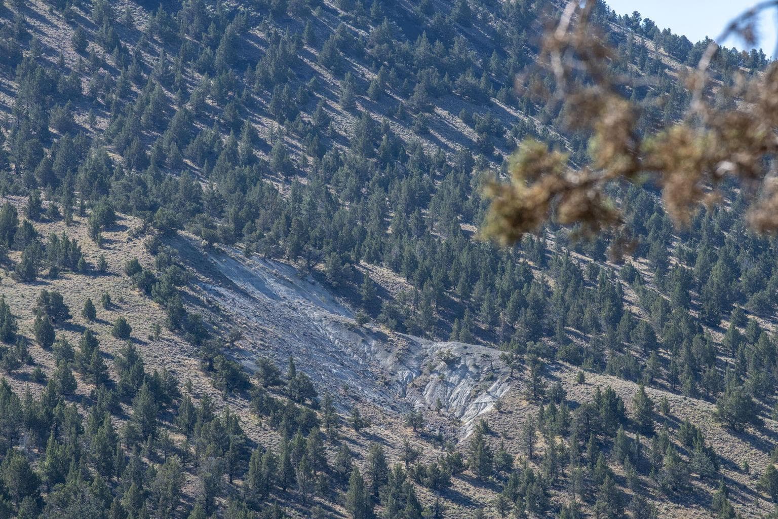 Photo of 32500 SE Tackman Road 43 of 113
