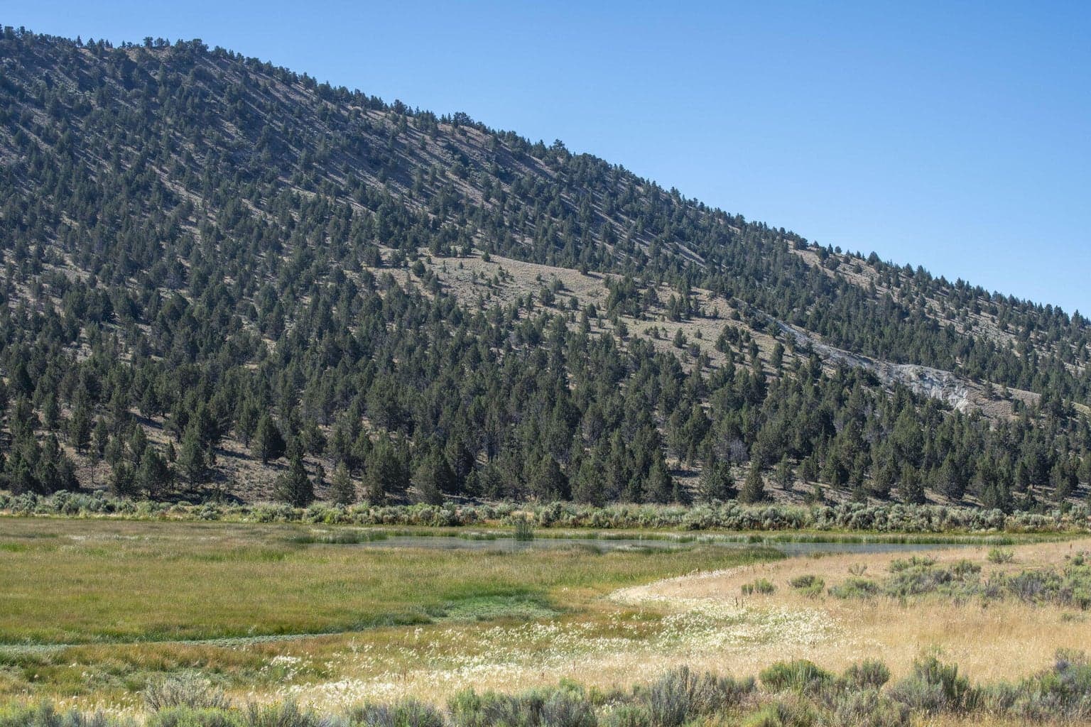 Photo of 32500 SE Tackman Road 37 of 113