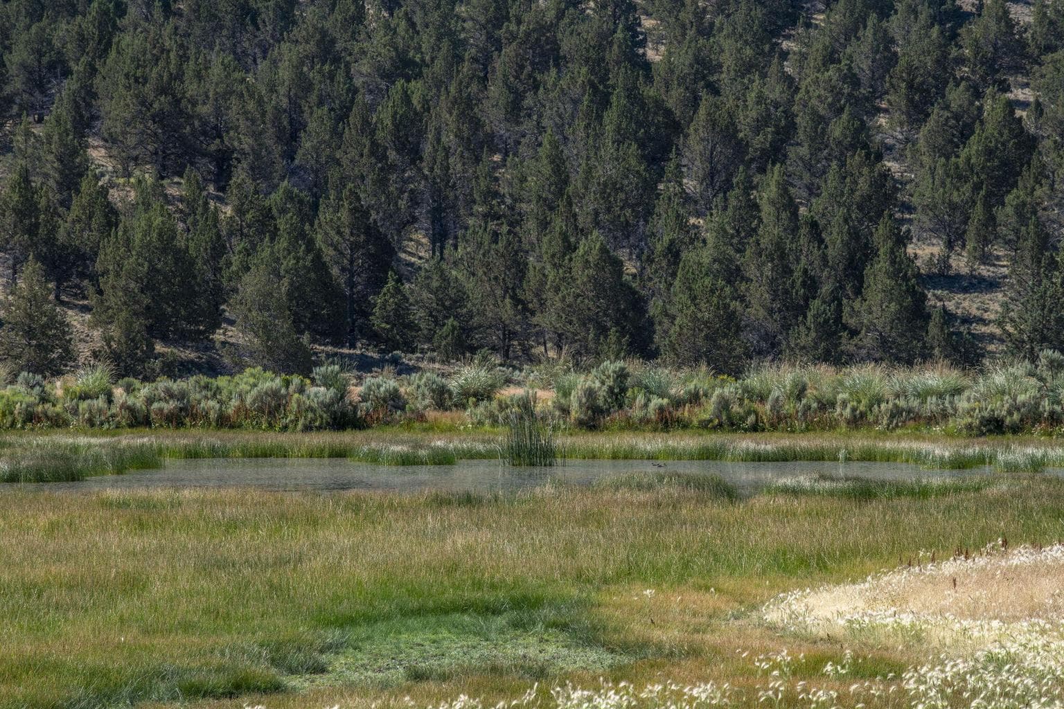Photo of 32500 SE Tackman Road 35 of 113