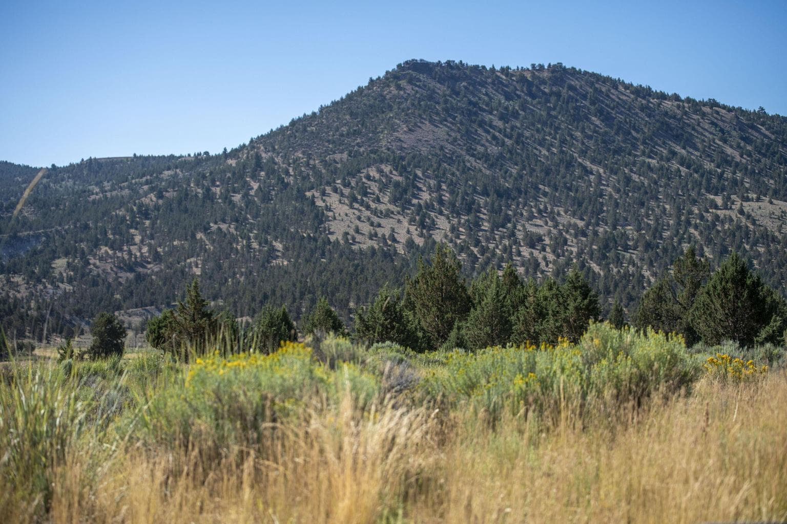 Photo of 32500 SE Tackman Road 94 of 113
