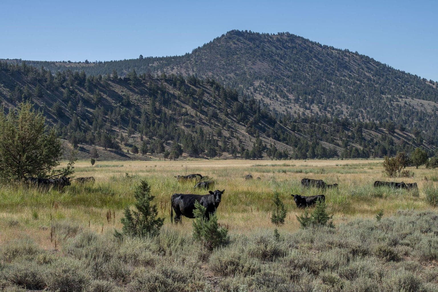 Photo of 32500 SE Tackman Road 67 of 113