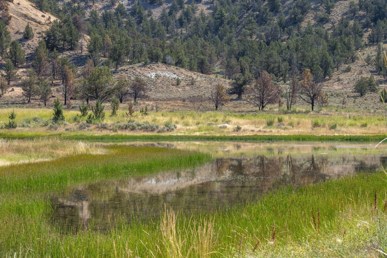 Photo of 32500 SE Tackman Road 40 of 113