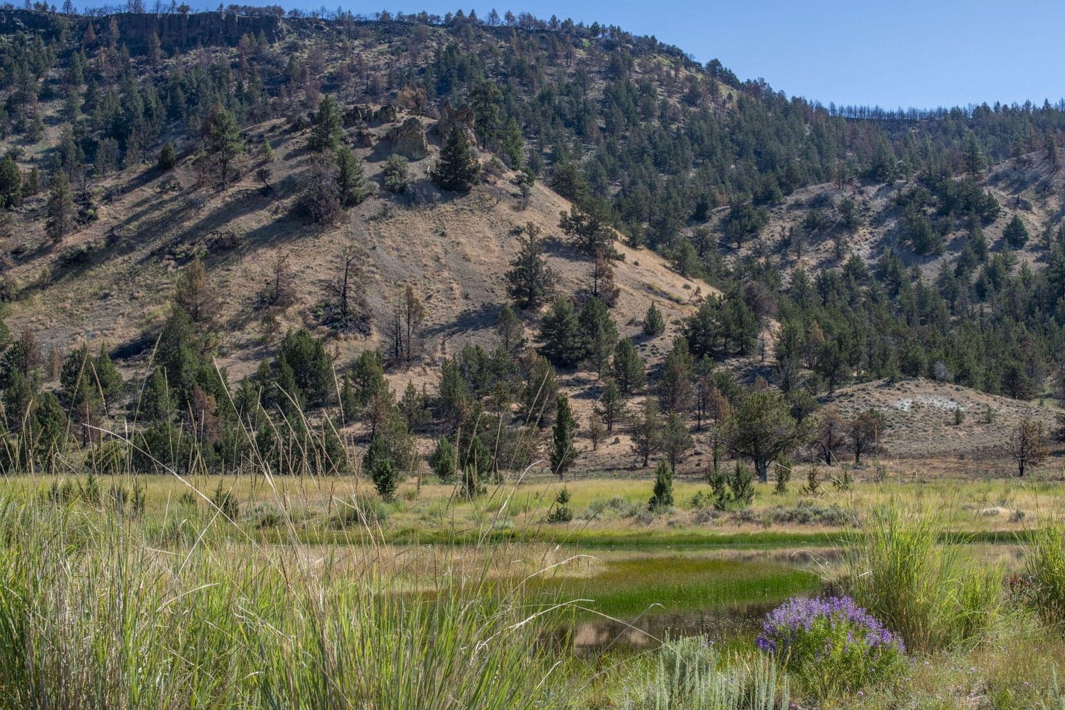 Photo of 32500 SE Tackman Road 41 of 113