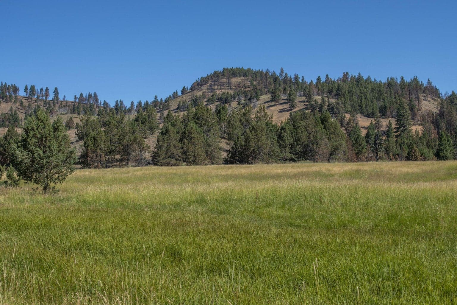 Photo of 32500 SE Tackman Road 95 of 113