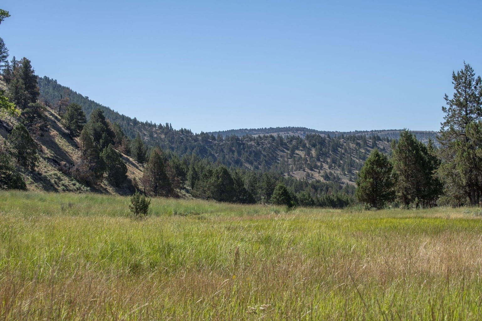 Photo of 32500 SE Tackman Road 96 of 113