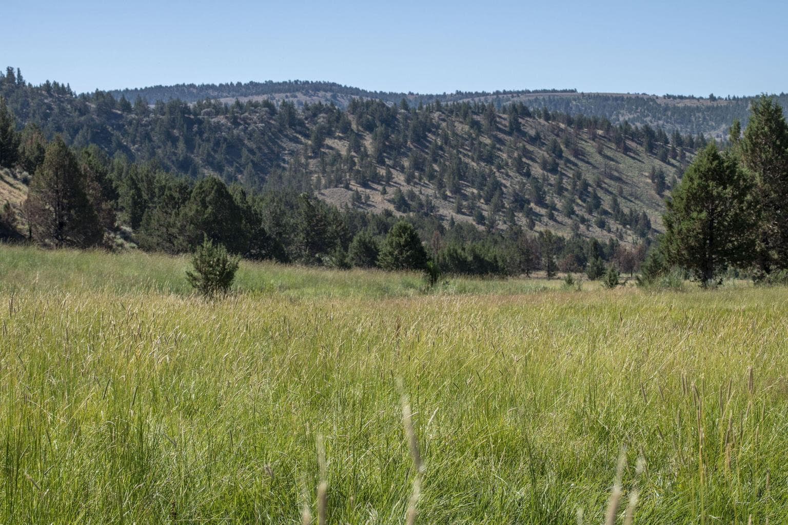 Photo of 32500 SE Tackman Road 97 of 113