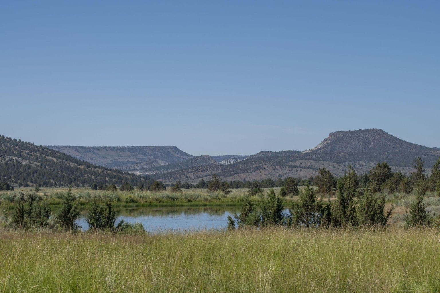 Photo of 32500 SE Tackman Road 51 of 113