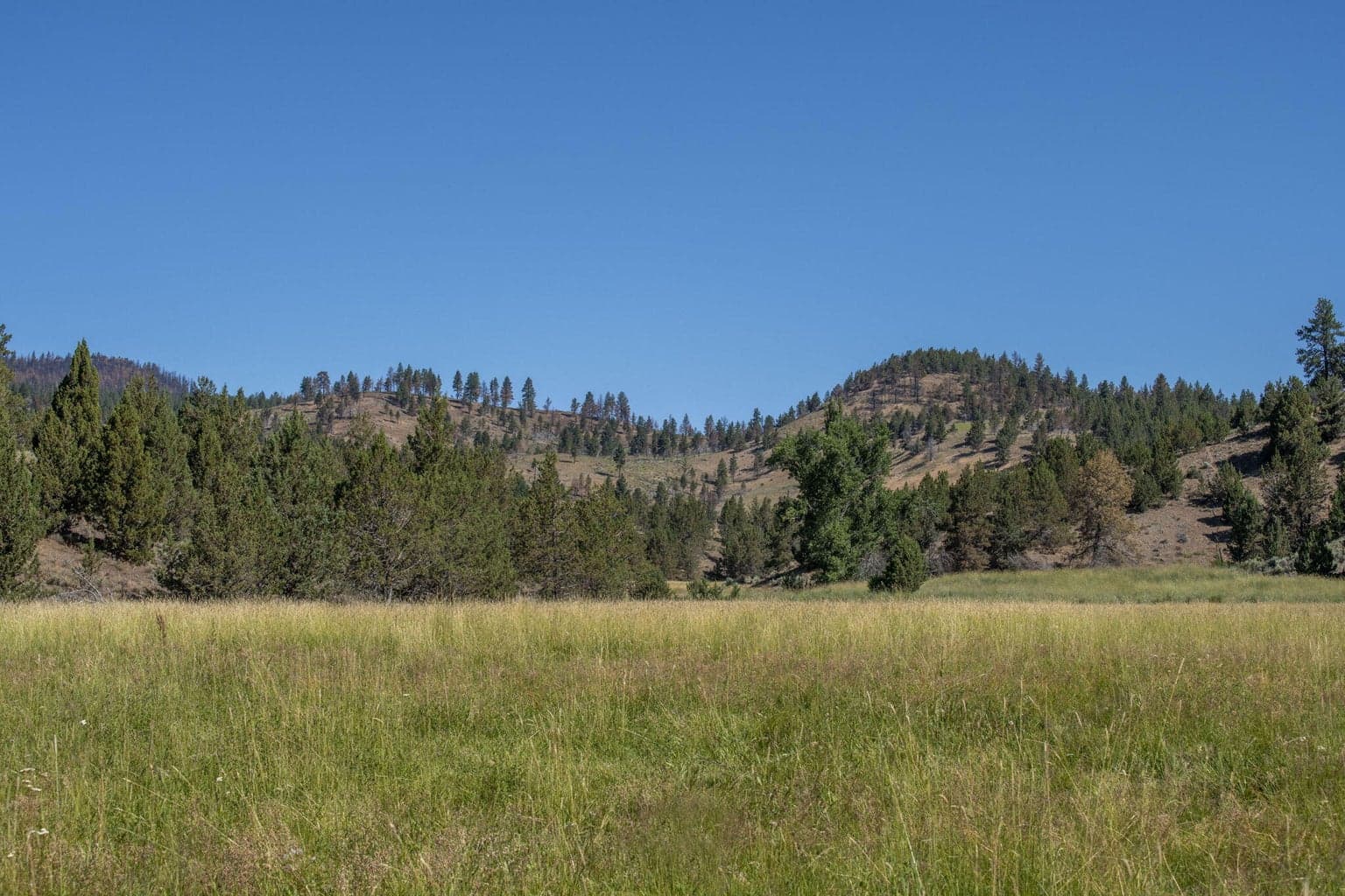 Photo of 32500 SE Tackman Road 98 of 113