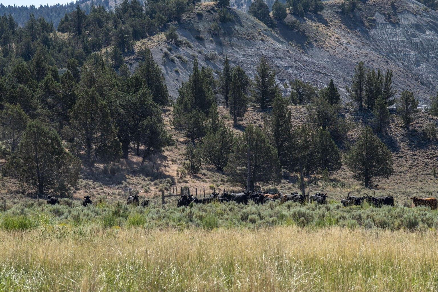 Photo of 32500 SE Tackman Road 70 of 113