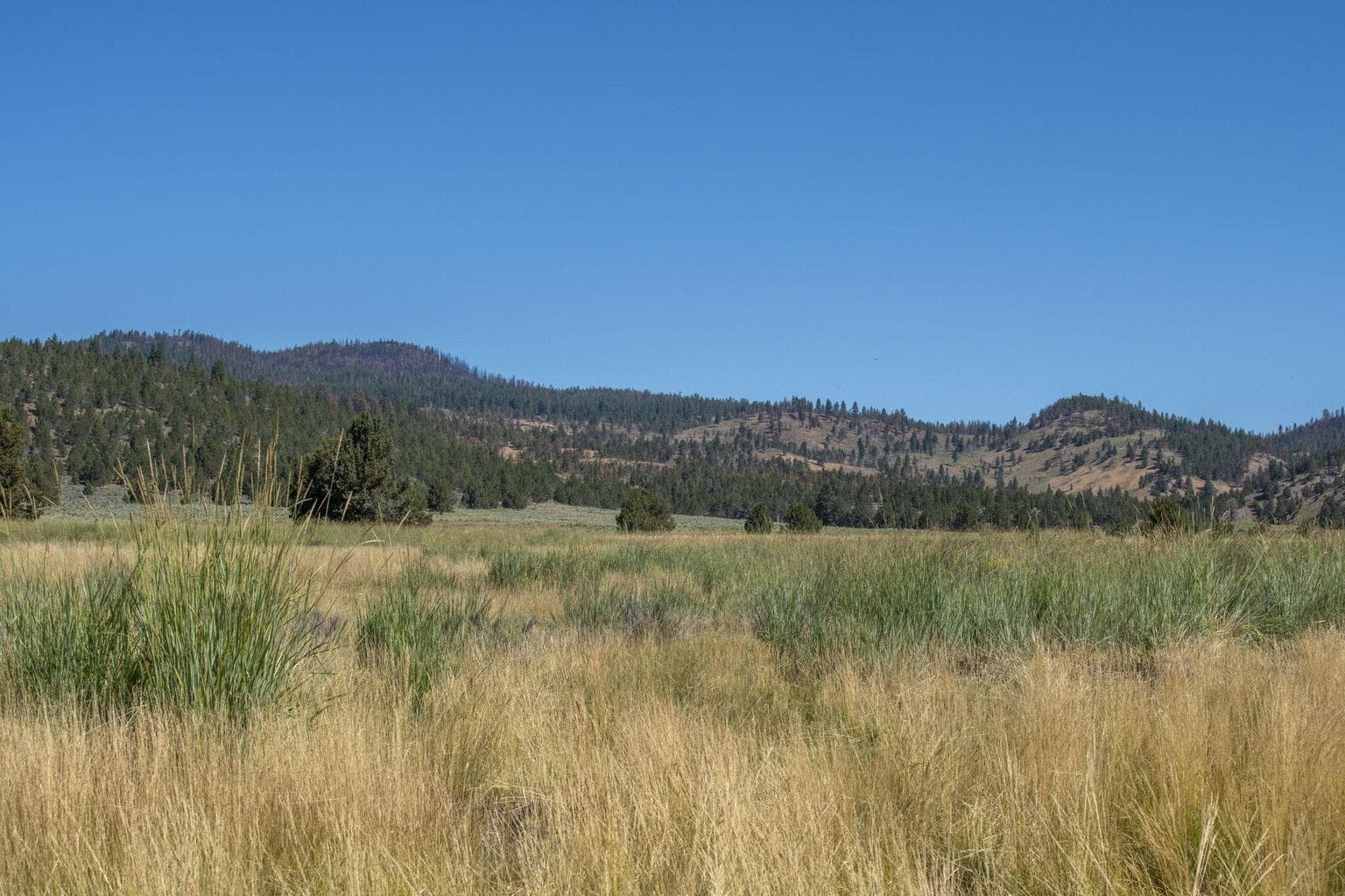 Photo of 32500 SE Tackman Road 99 of 113