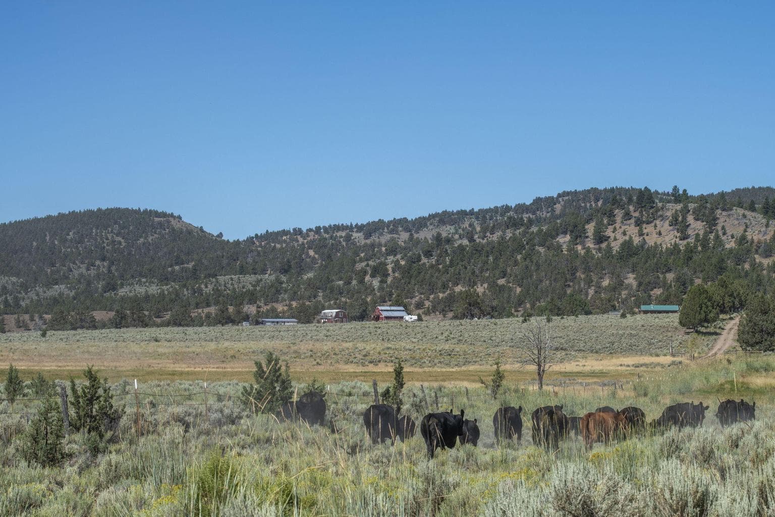 Photo of 32500 SE Tackman Road 71 of 113