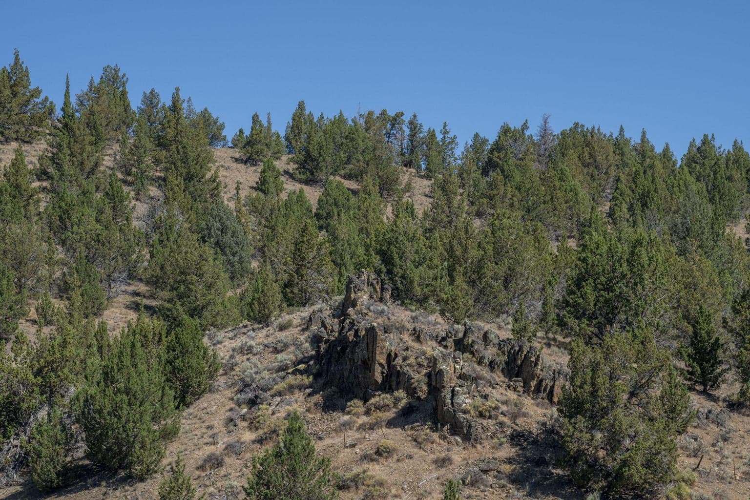 Photo of 32500 SE Tackman Road 101 of 113