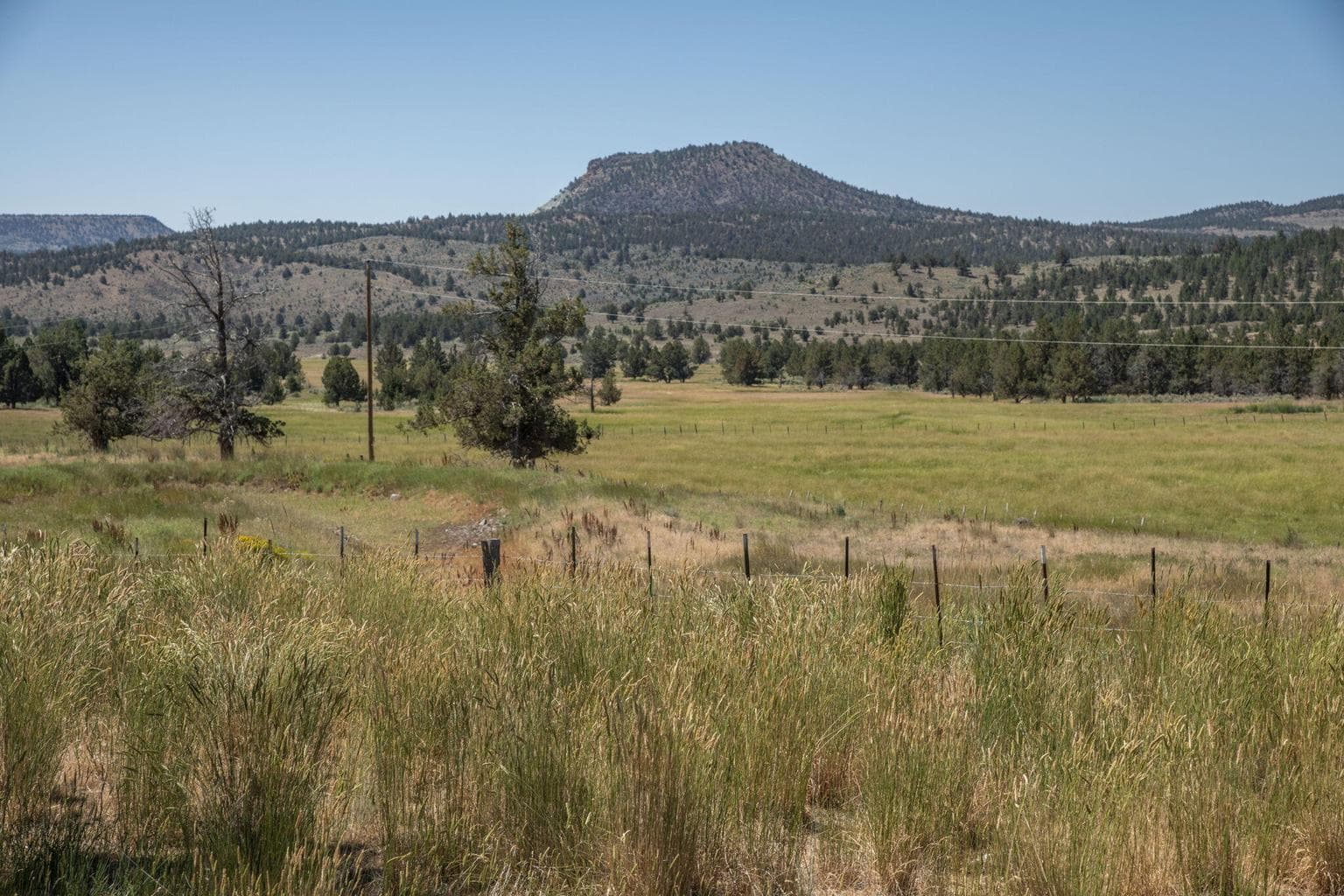 Photo of 32500 SE Tackman Road 100 of 113