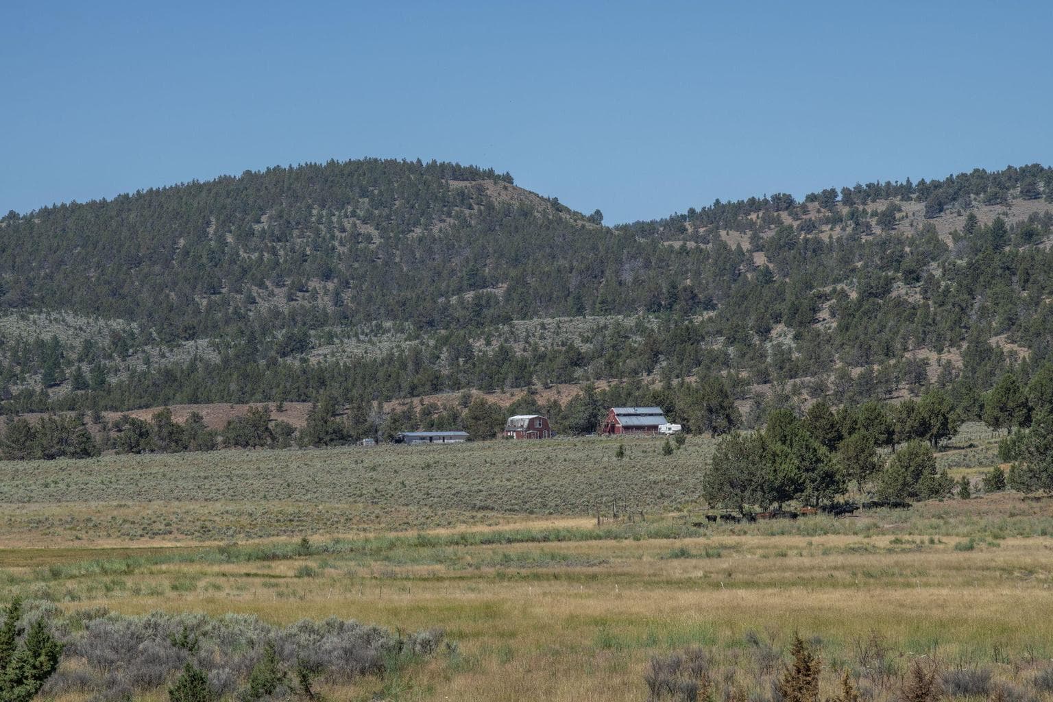 Photo of 32500 SE Tackman Road 21 of 113