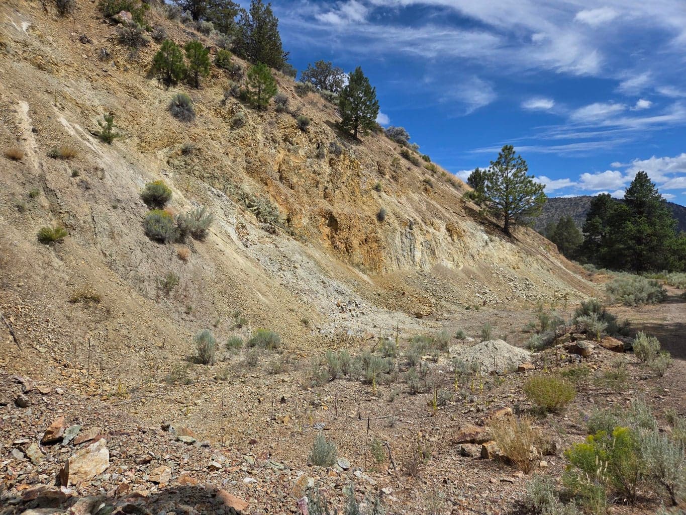 Photo of 32500 SE Tackman Road 103 of 113