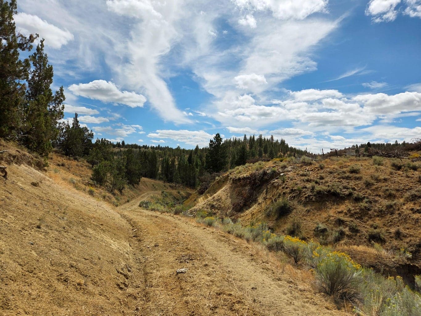 Photo of 32500 SE Tackman Road 102 of 113
