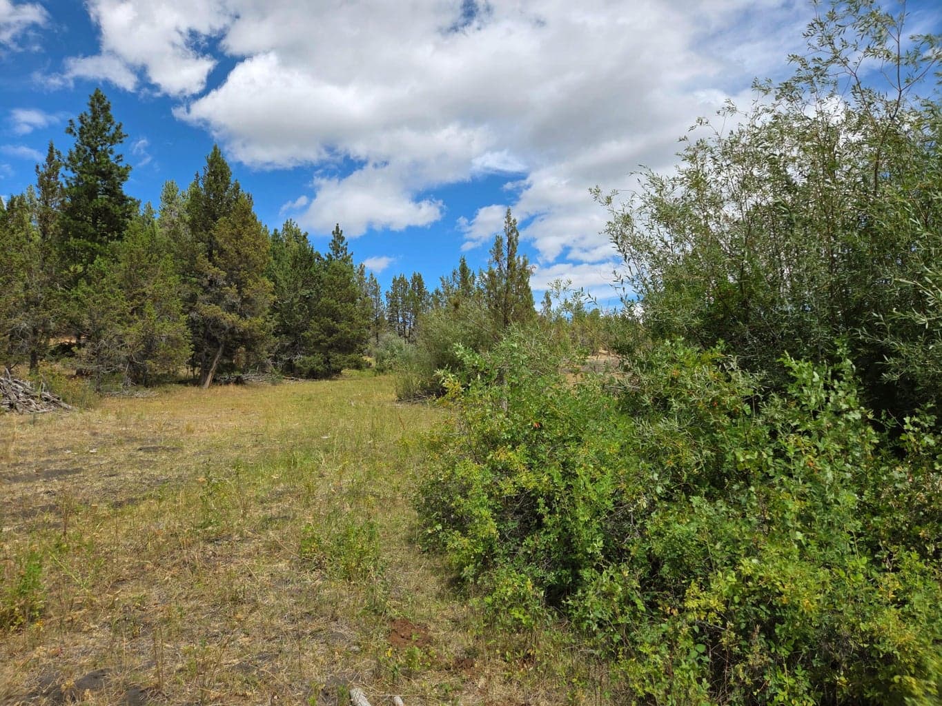 Photo of 32500 SE Tackman Road 105 of 113