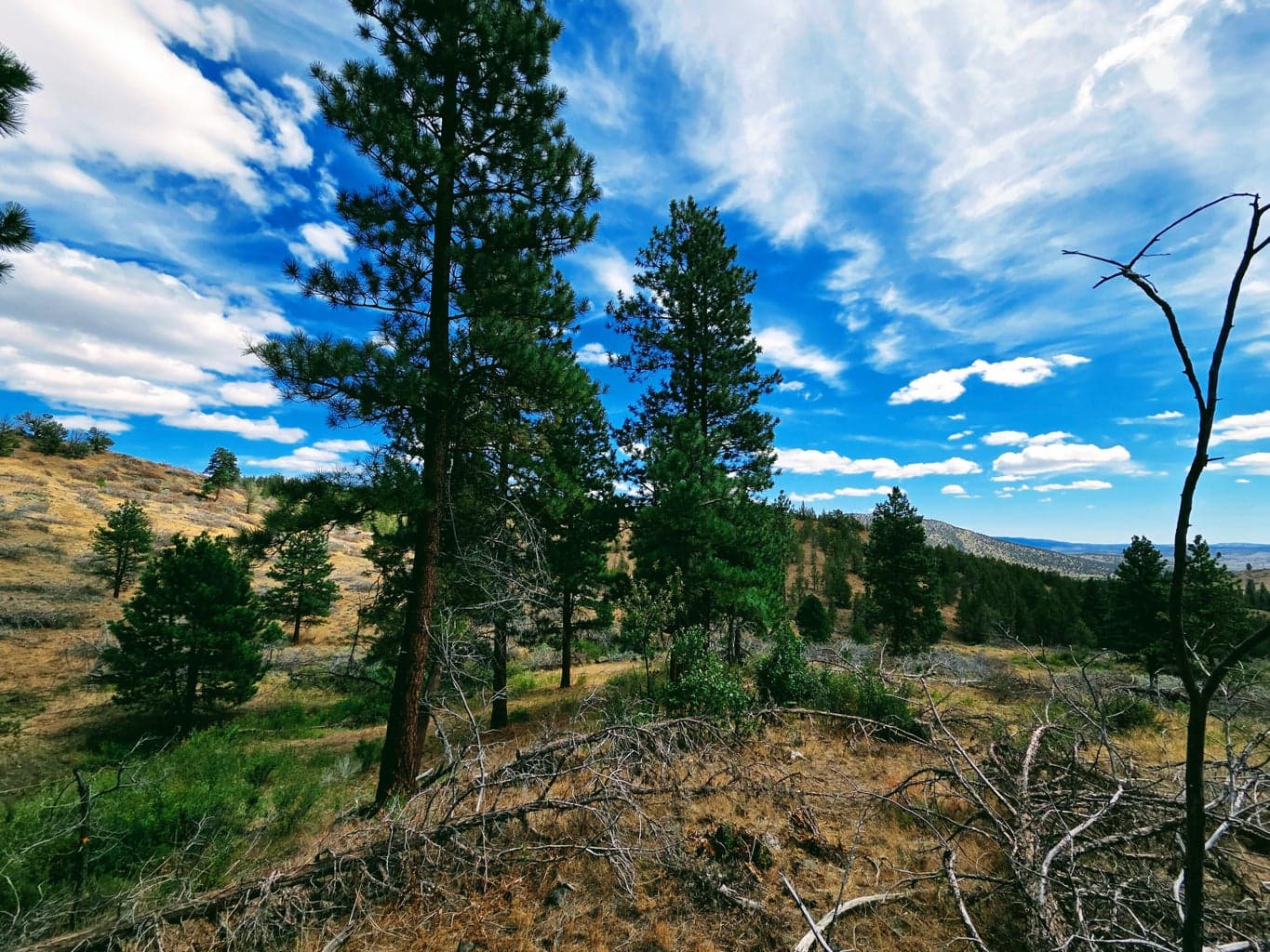 Photo of 32500 SE Tackman Road 86 of 113