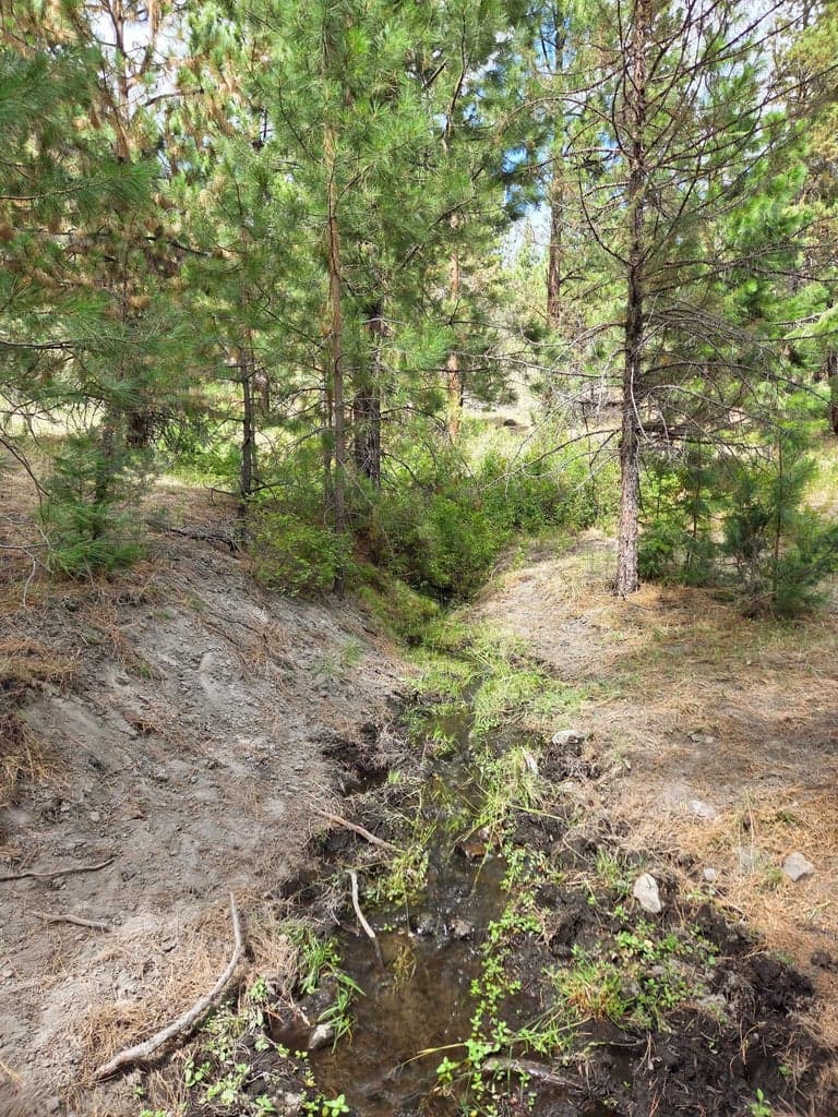 Photo of 32500 SE Tackman Road 53 of 113