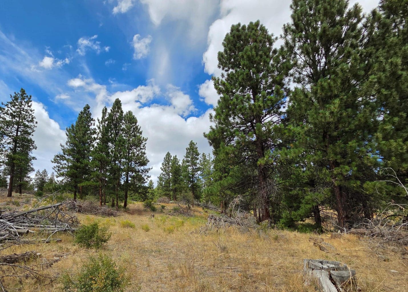 Photo of 32500 SE Tackman Road 87 of 113