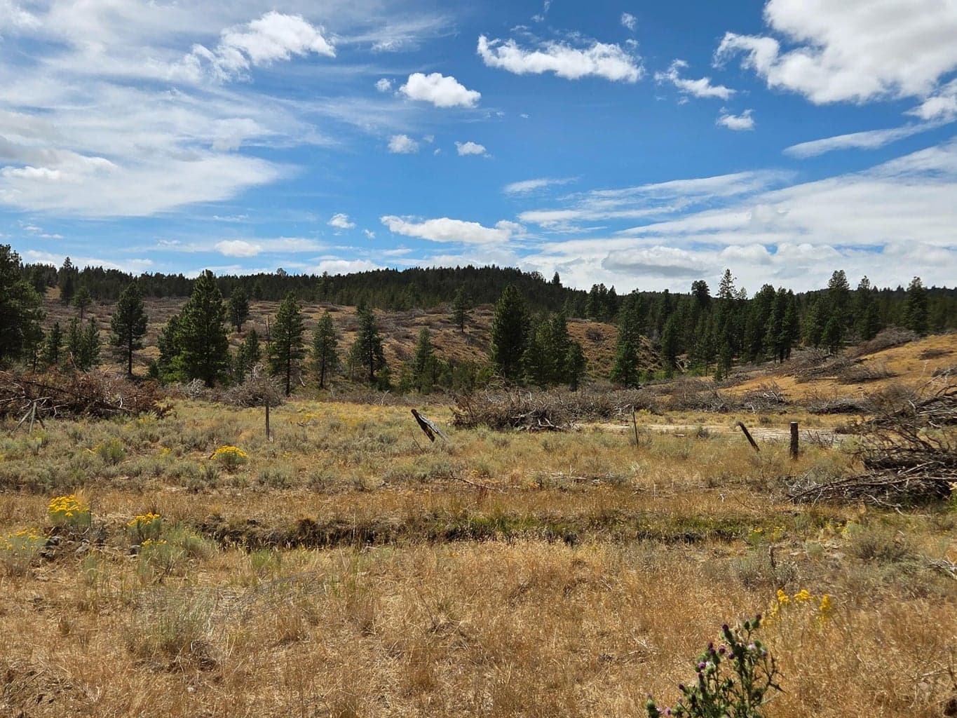 Photo of 32500 SE Tackman Road 106 of 113