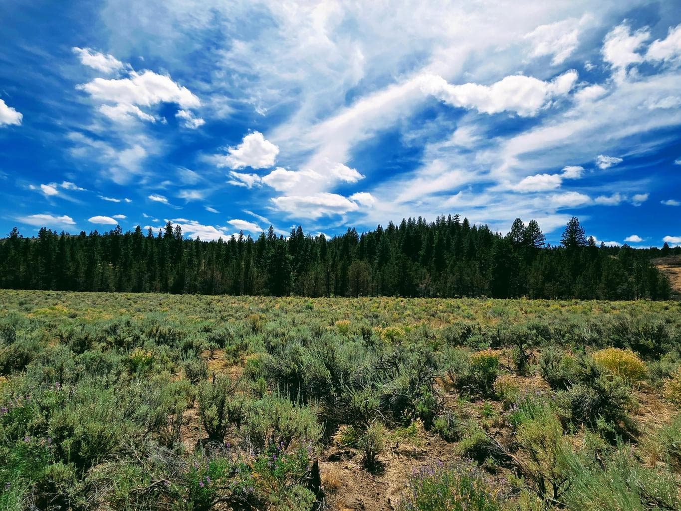 Photo of 32500 SE Tackman Road 79 of 113