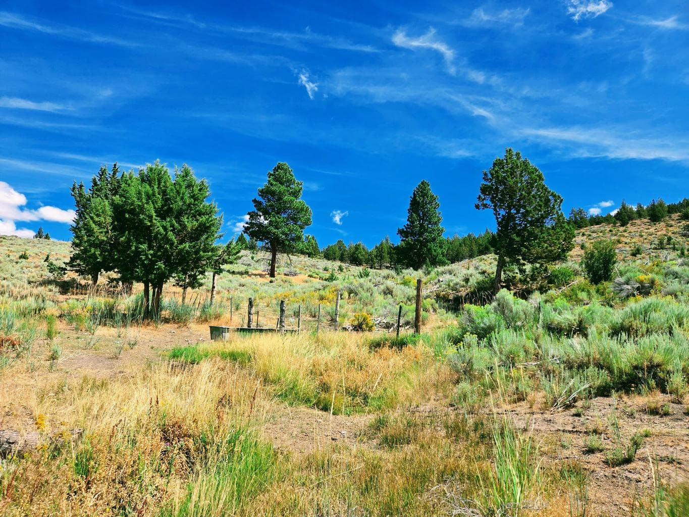 Photo of 32500 SE Tackman Road 78 of 113