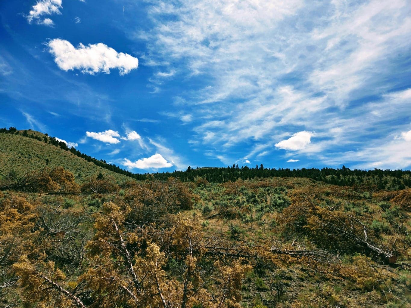 Photo of 32500 SE Tackman Road 108 of 113