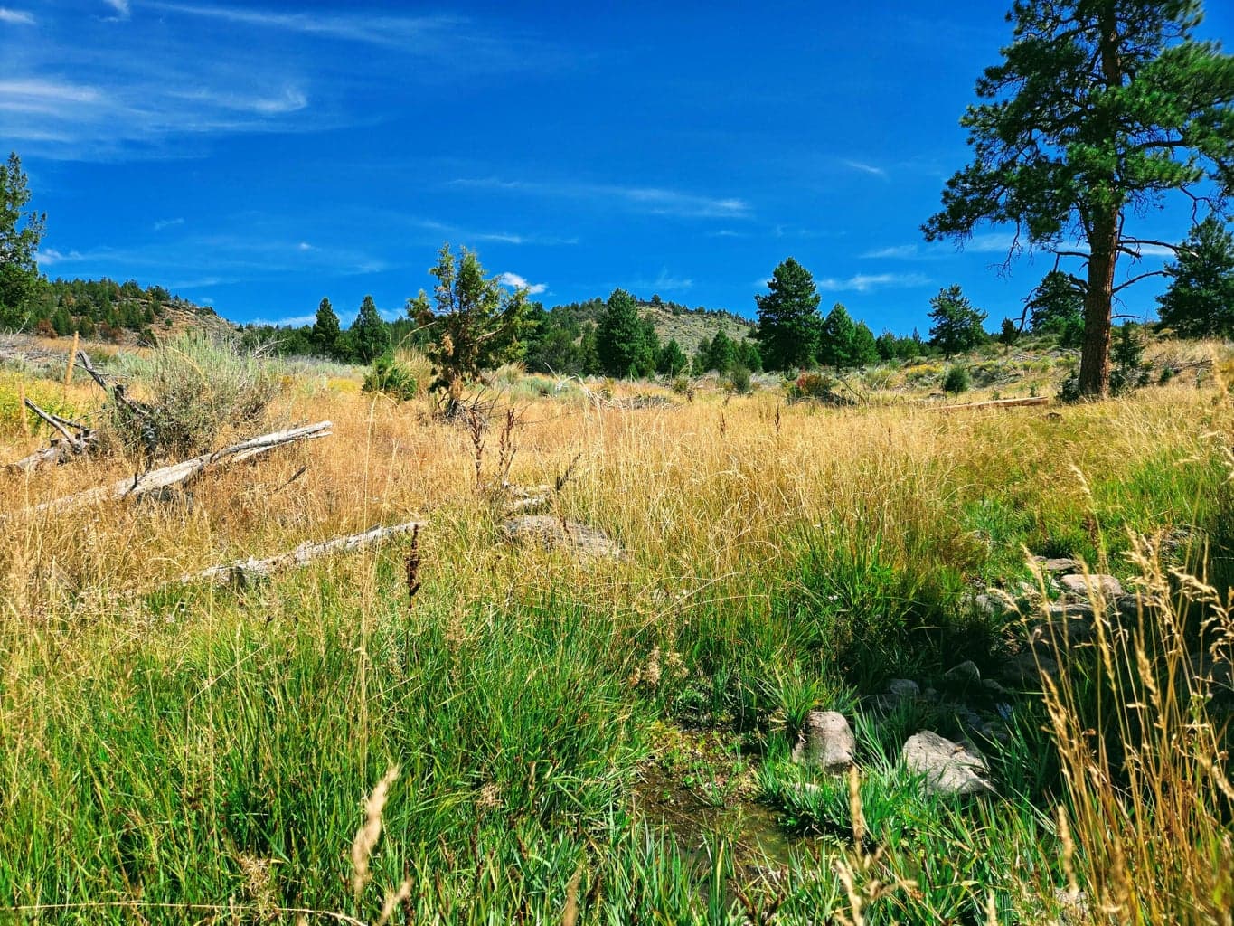 Photo of 32500 SE Tackman Road 55 of 113