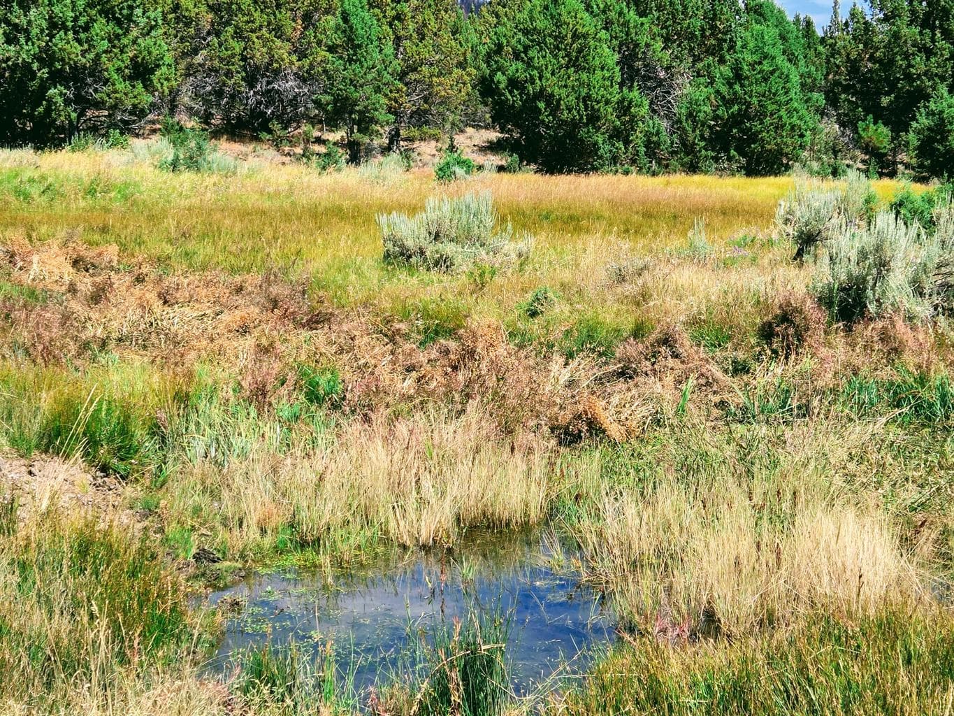 Photo of 32500 SE Tackman Road 56 of 113