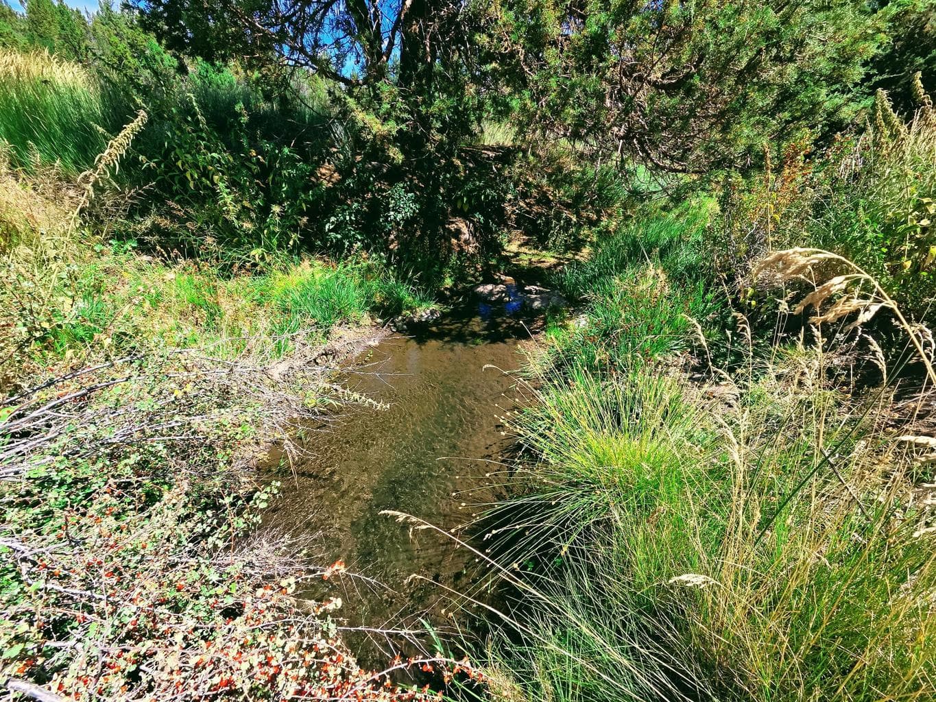 Photo of 32500 SE Tackman Road 57 of 113