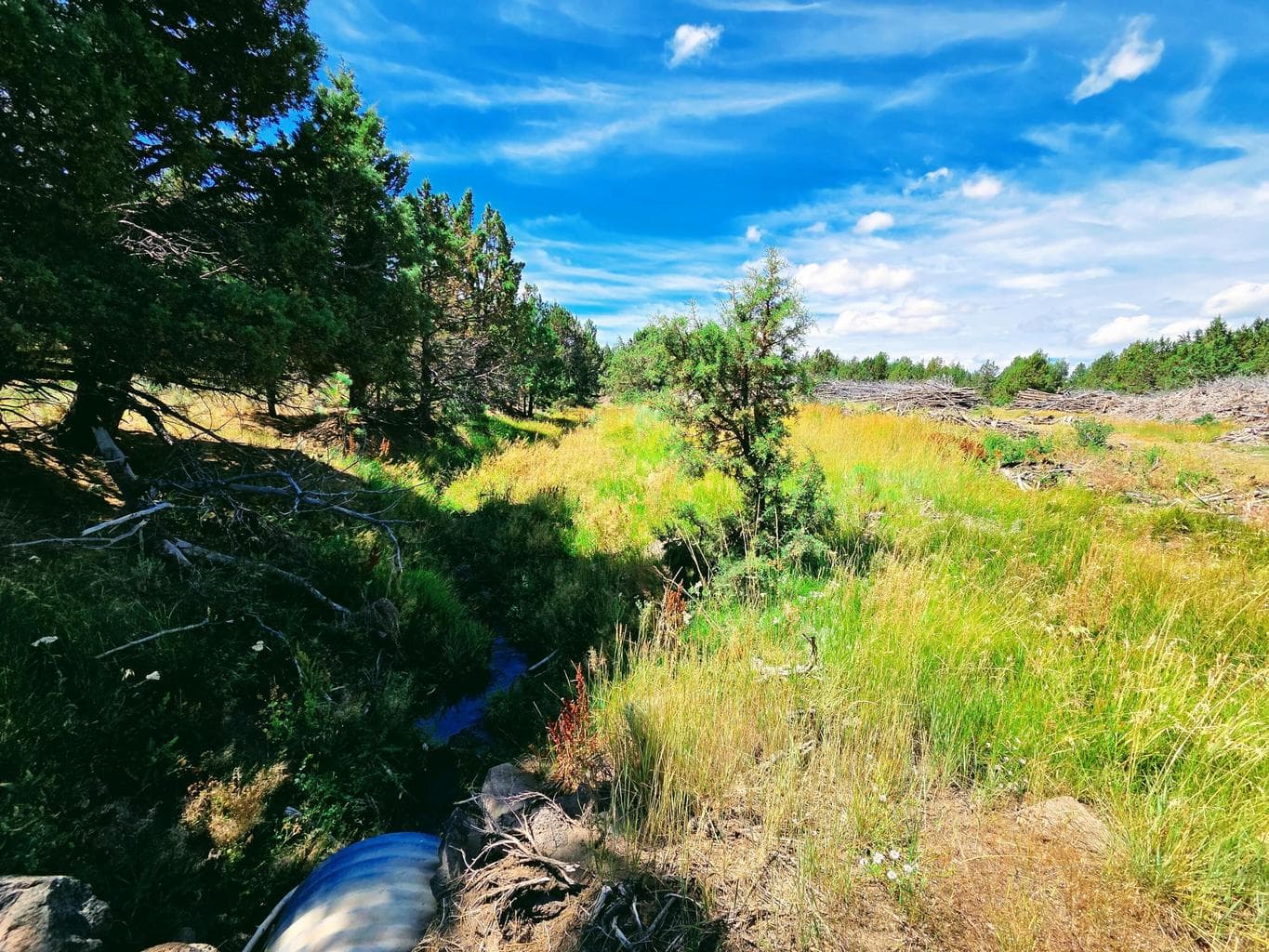 Photo of 32500 SE Tackman Road 58 of 113