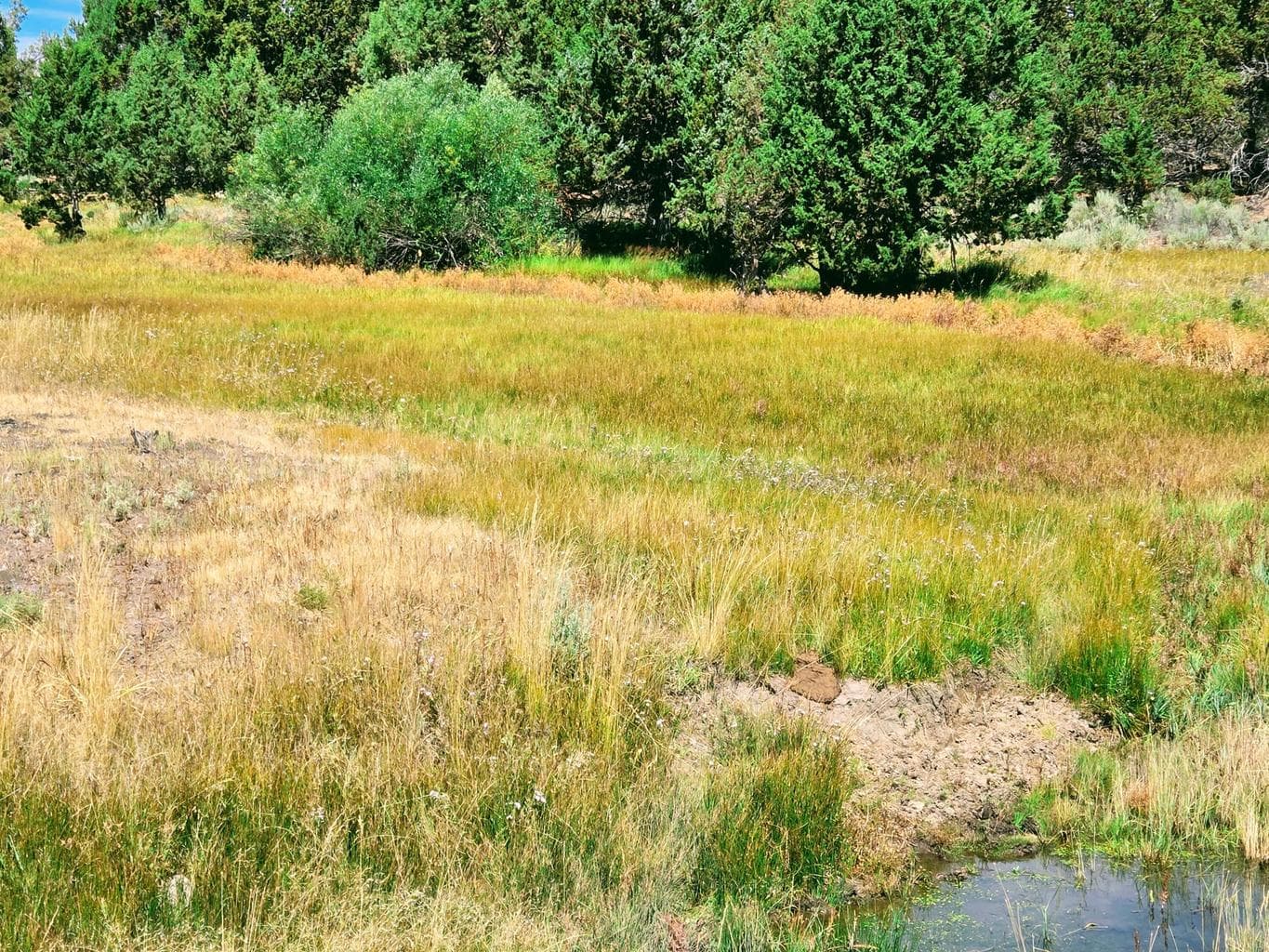 Photo of 32500 SE Tackman Road 59 of 113